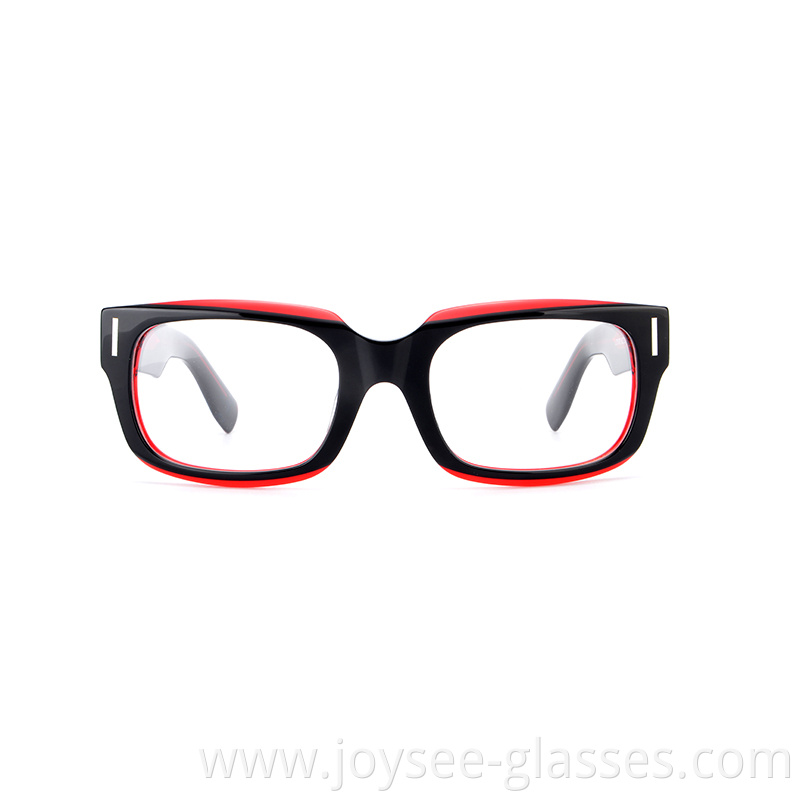 Polished Eyeglasses 5
